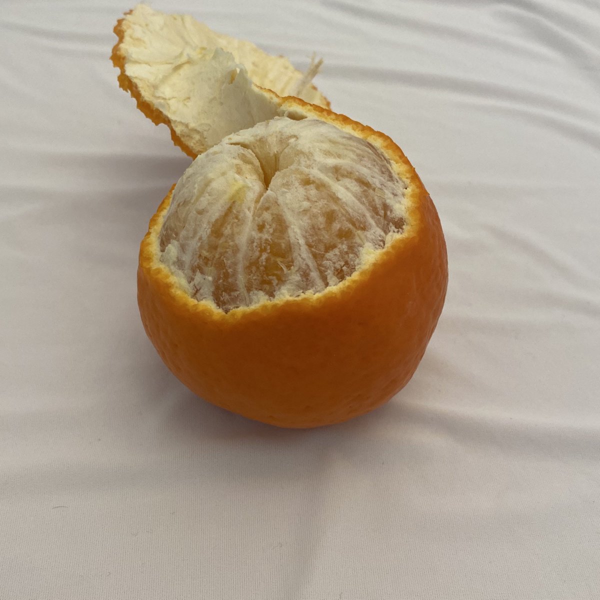 みかんノート (@mikanflavor1) / Posts / X