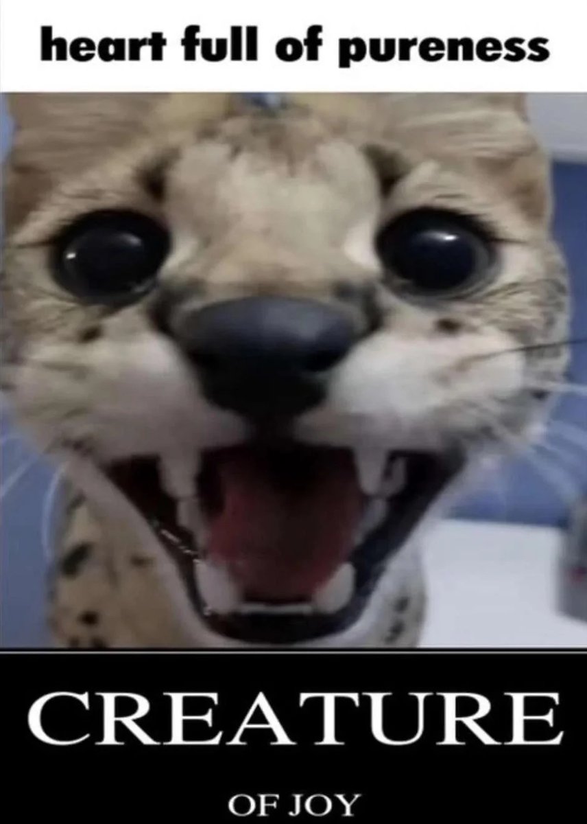 Waow, over 70 followers already. Thanks for encouraging me to keep doing this, you guys are really cool.