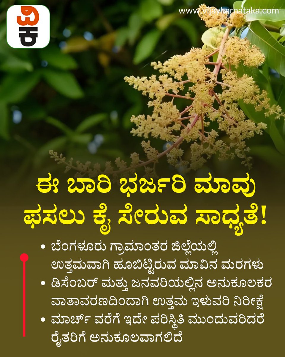 Vijaykarnataka's tweet image. ಈ ಬಾರಿ ಭರ್ಜರಿ ಮಾವು ಫಸಲು ಕೈ ಸೇರುವ ಸಾಧ್ಯತೆ; ಮಾರ್ಚ್‌ವರೆಗೆ ಮಳೆಯಾಗ್ಬಾರದು ಅಷ್ಟೇ!
#mango #MangoFarm #mangofarming #bengaluru #MangoHarvest