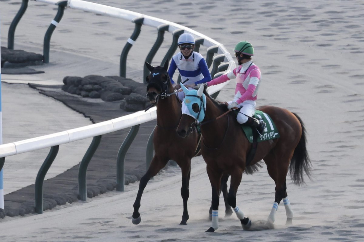 しみっち(Shimicchi) (@shimicchi43) / Posts / X