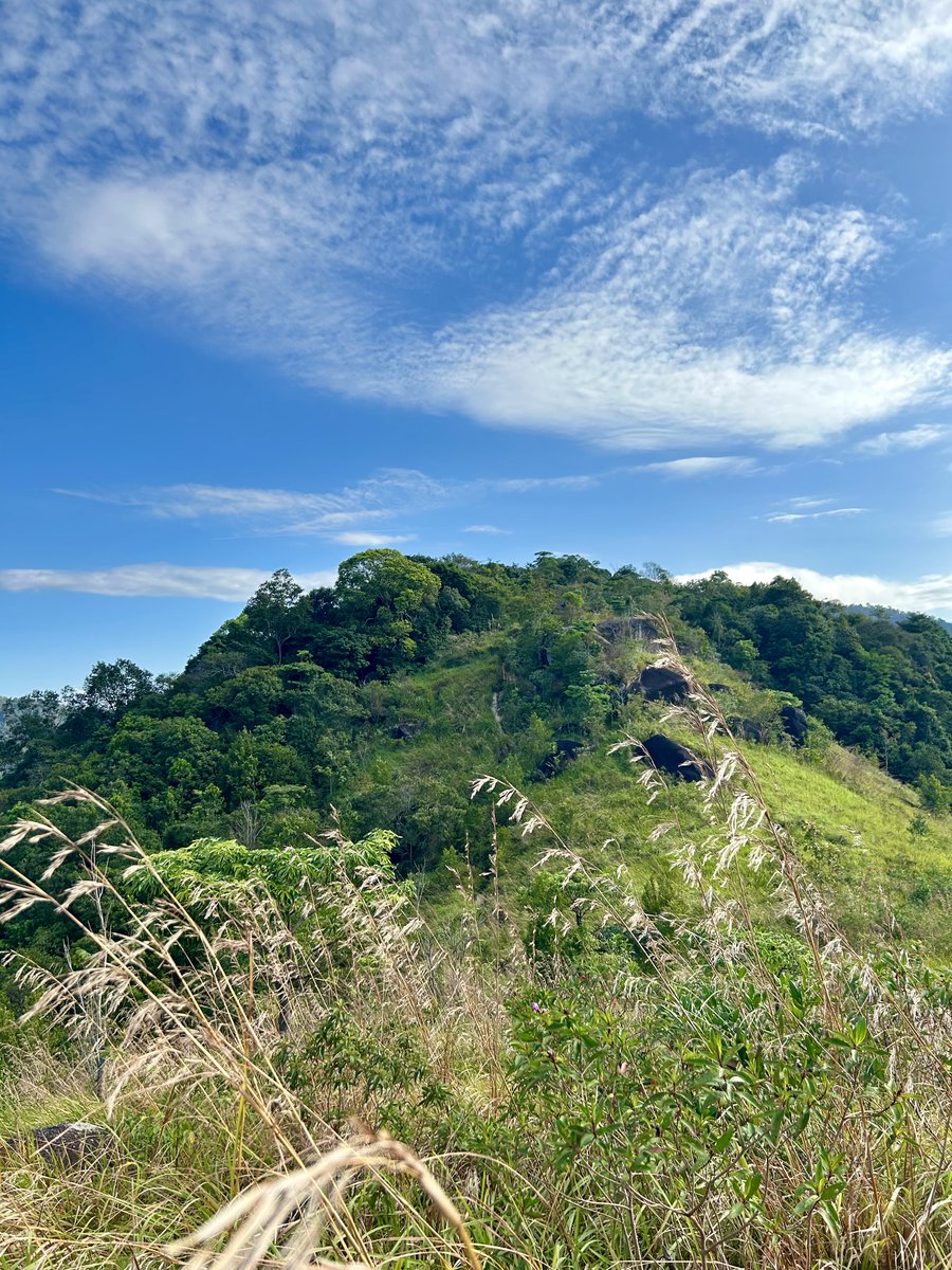 akmalnazamuddin's tweet photo. 📍Bukit Broga, Semenyih
↕️ 400m
⏱ 45min to the peak

Pagi ni kembali semula hiking di ‘tempat asal’, bukit yang pertama kali mendaki belasan tahun lepas. Bernostalgia sepanjang pendakian. Kali ni siap baring dan tidur dicelah-celah lalang yang menari di tiup angin. 🍃 https://t.co/JWOVHobmeo