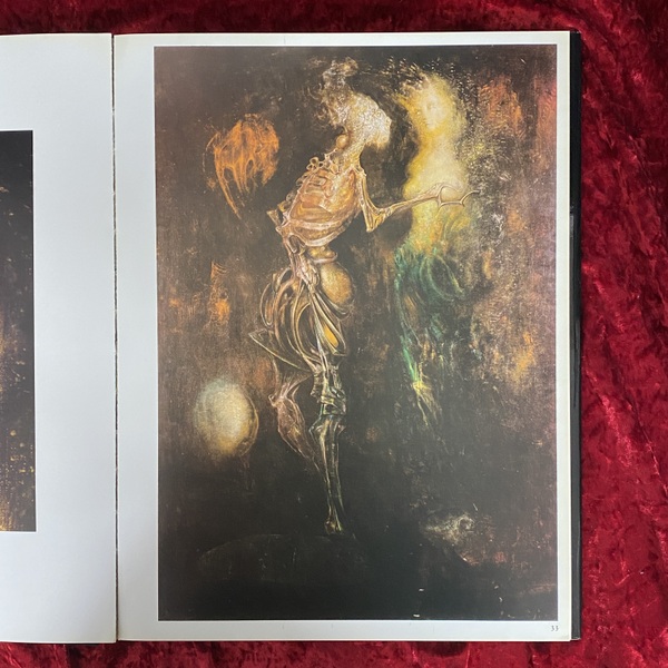 レオノール・フィニが描く死神や骸骨の優美な美しさに惹かれます。とき