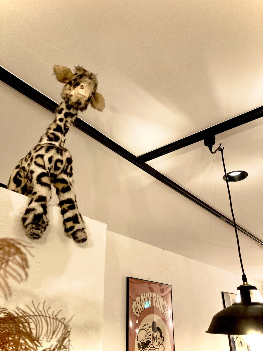 次回のライブは3/2、松戸サンリットバーガー！
🎸🥁
お洒落で暖かい店内でま〜ったり🎶
激うまハンバーガーを食べながら
音楽に浸れる夜になります🍔✨
キリンさんもいます🦒

是非遊びに来てくださいませー！
#ちだっけ