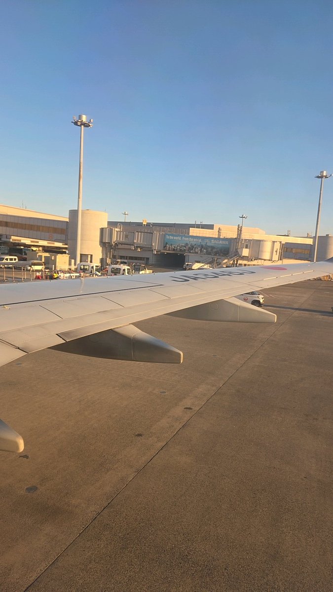 ふがし tweet media