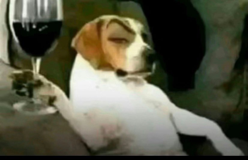 2Karious Donell Johnson tweet media