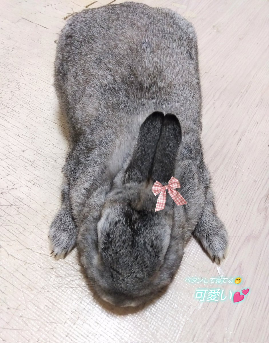 🌳🌼お散歩🌼🌳