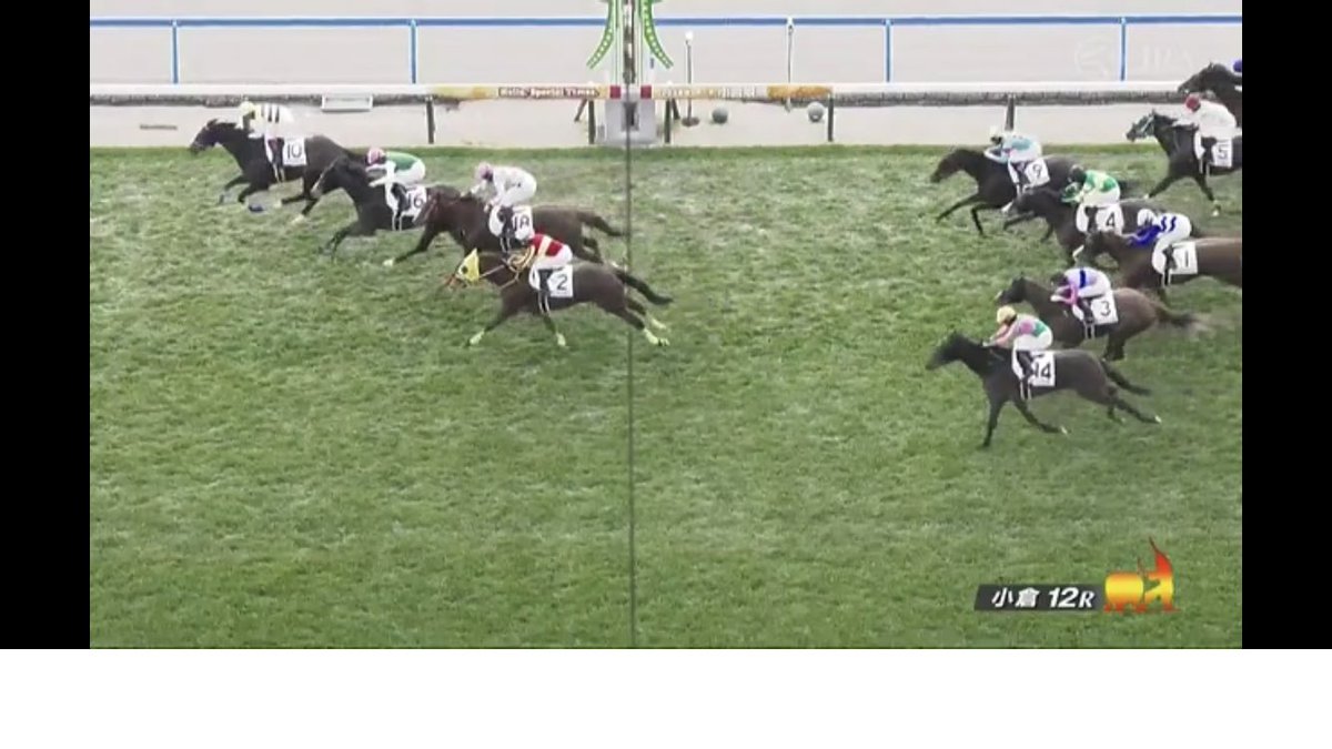 #seiun0005さん
2月1日小倉12R10番セイウンデセオ号
1着おめでとうございます♪㊗️
西山オーナーおめでとうございます㊗️
菊沢騎手おめでとう🎉
月替わり2番目のホームグラウンド小倉
での今期3勝目㊗️ Gogo gogo ２月❗️
軍団応援者の皆さんおめでとう㊗️