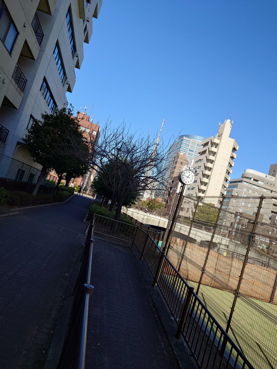 ノウミサン@みおりん推し🍋🌐 tweet media