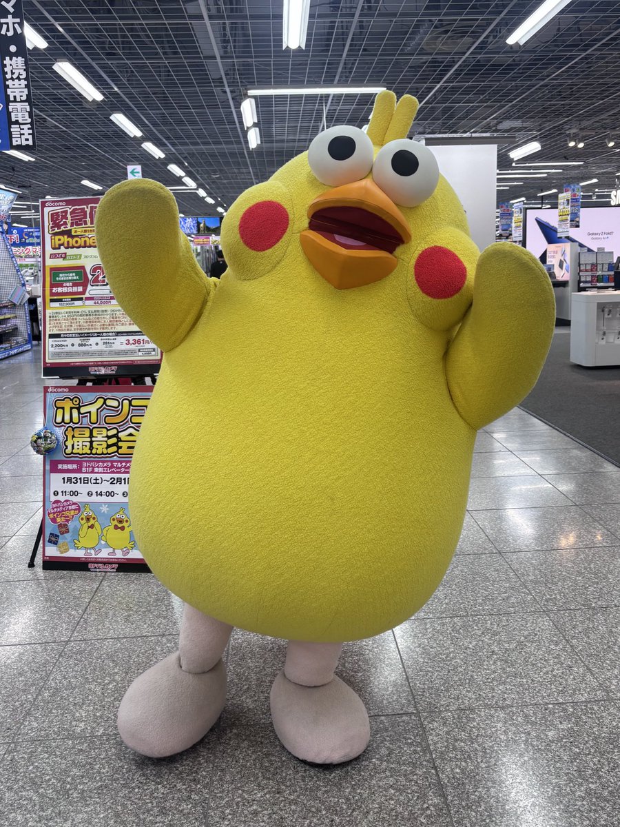 ポインコと山歩き🐥🐥🐾 (@paopaopanda_jp) / Posts / X