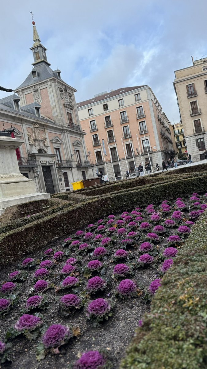 andre_barrera's tweet photo. Madrid ♥️ https://t.co/bTgghI9lZo
