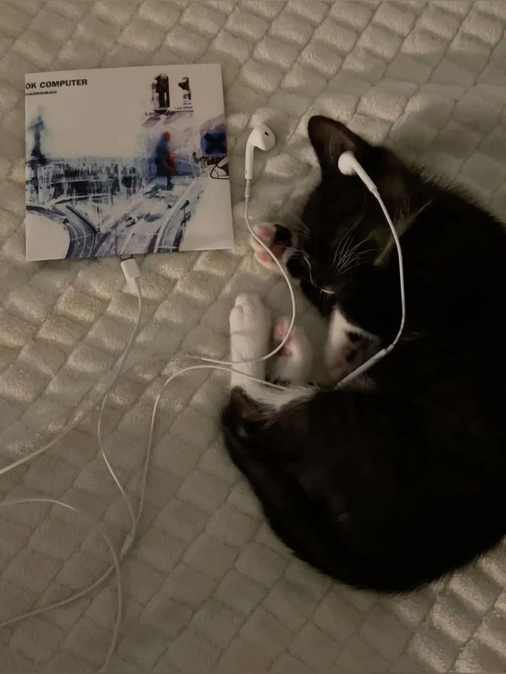 onlykso's tweet image. 3v3 $600 PSN HP SNIPING ONLY TOURNEY #Champs  w/ @tbeomarr @itsZeqq