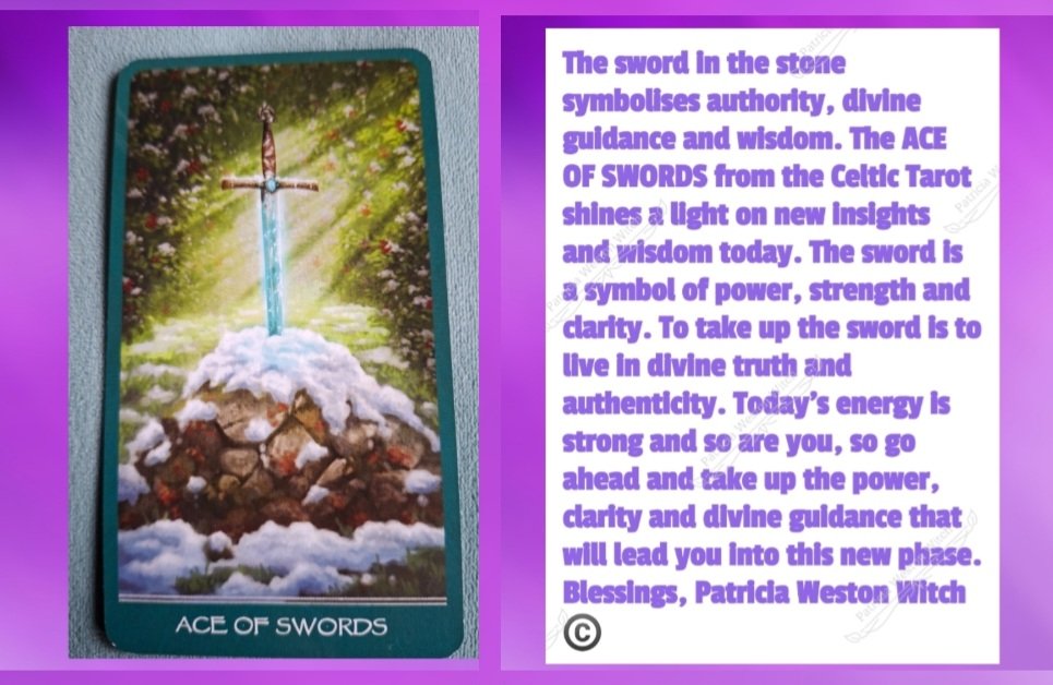 PsychicWitch13's tweet photo. #sundaytarot #fullmooninleo #imbolc https://t.co/WeCEVIQvcL