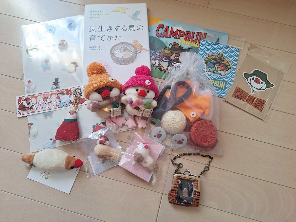 コトリアーケード🏕️鳥フェス水戸 (@kotoriarcade) / Posts / X