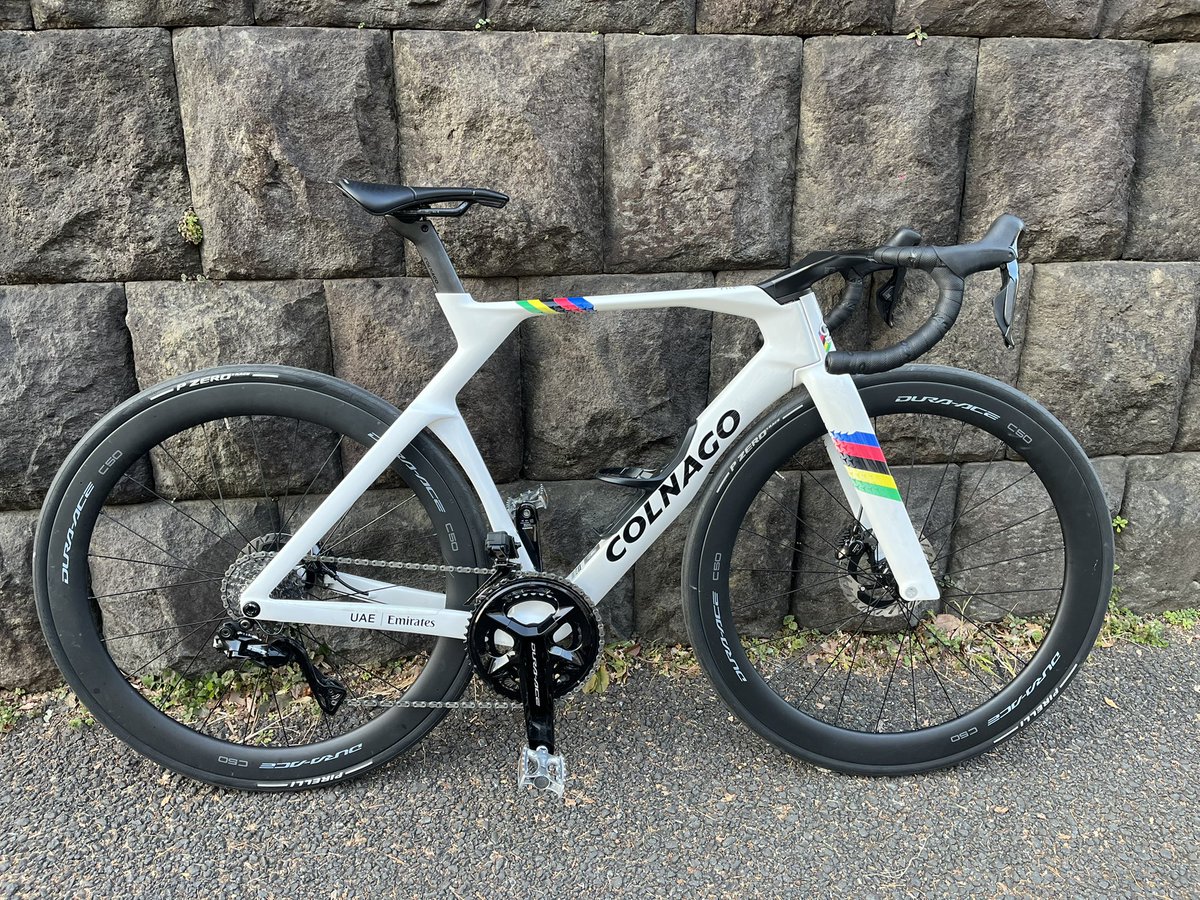 カピバラ (@CapybaraLIZED) / Posts / X