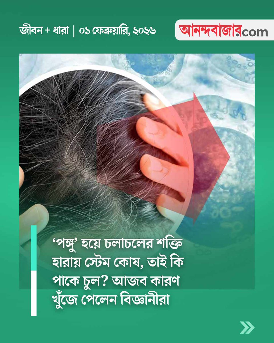 MyAnandaBazar's tweet image. পাকা চুল আবারও কালো হয়ে যাবে, গোড়ার কথাটি ধরে ফেলেছেন গবেষকেরা
#greyhair #hairfallsolution 

anandabazar.com/lifestyle/beau…