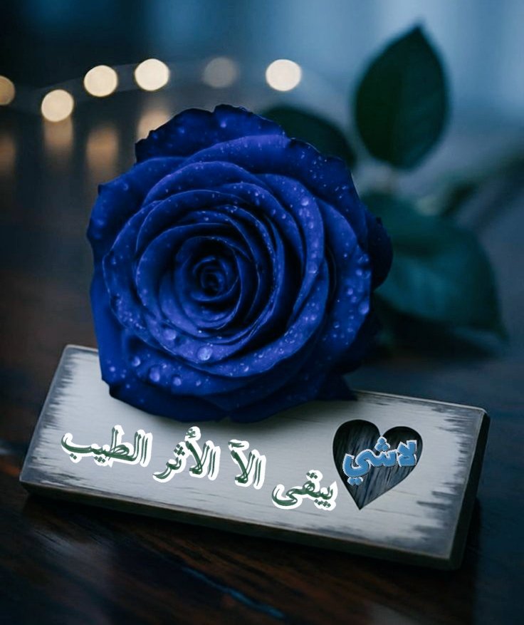 (غياب)سامحوني✨ 𝓐𝓵𝔃𝓪𝓲𝓷 ❥⇣ tweet media