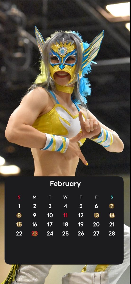 ハミングバード🪽Humming Bird🏵️ (@52_HUMMINGBIRD) / Posts / X