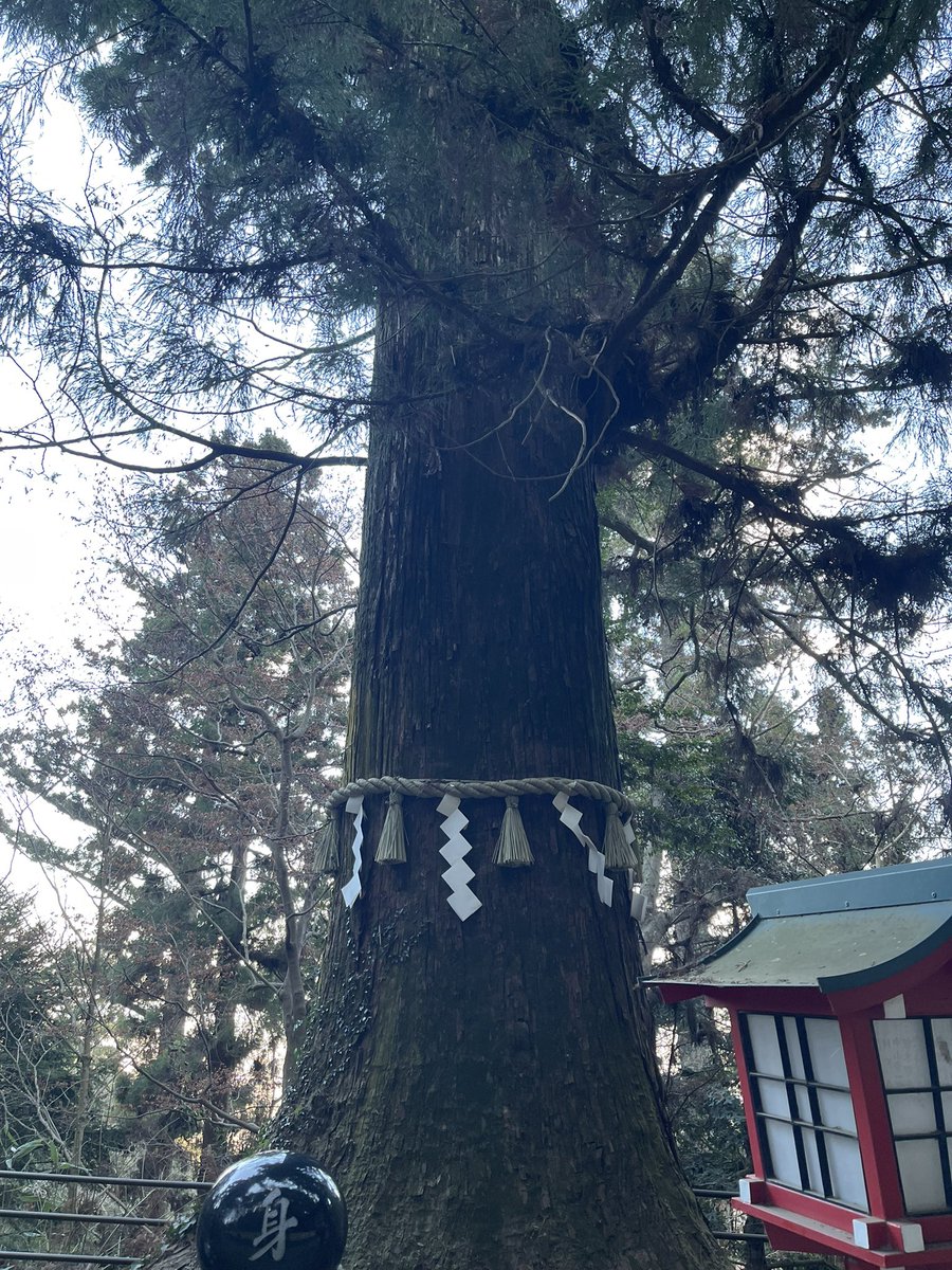 kodama_LitR's tweet image. 高尾山、登頂したぞ…！！！
ARはスタンプ取得さえすれば麓でもOKっぽいこと、登頂してから気づきました。
#TokyoTokyo  #にじたま本音旅