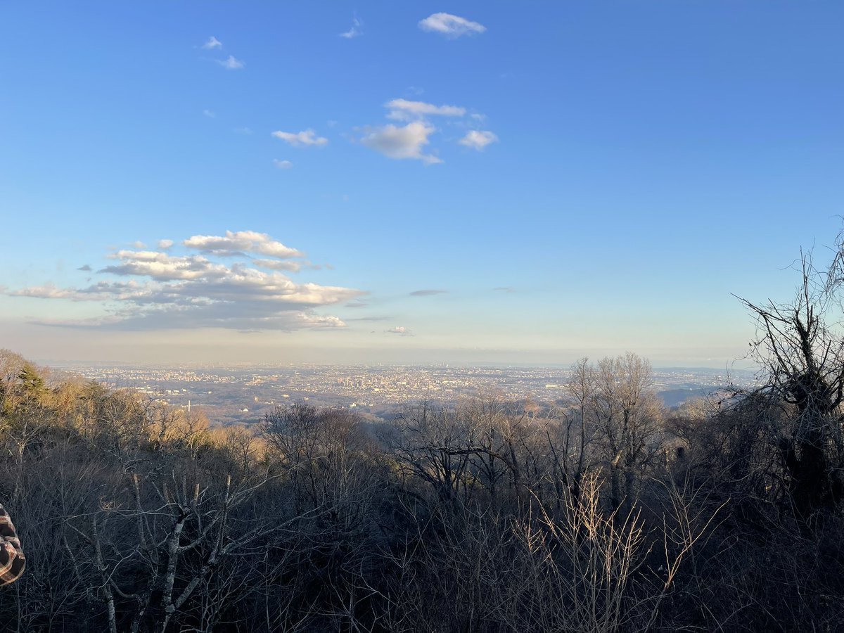 kodama_LitR's tweet image. 高尾山、登頂したぞ…！！！
ARはスタンプ取得さえすれば麓でもOKっぽいこと、登頂してから気づきました。
#TokyoTokyo  #にじたま本音旅