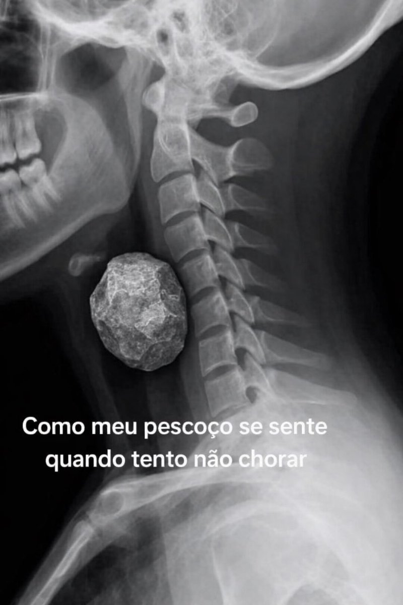 perfil dedicado a gatinhos e peitos (@odeiootaco) on Twitter photo 