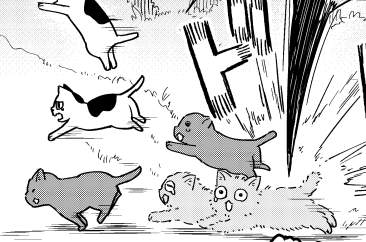 https://t.co/qySQMMF9aI
6話前編が公開されました!
今回は子猫たちと手に汗握る大冒険…!
子猫たちは無事に帰ることができるのかー! 