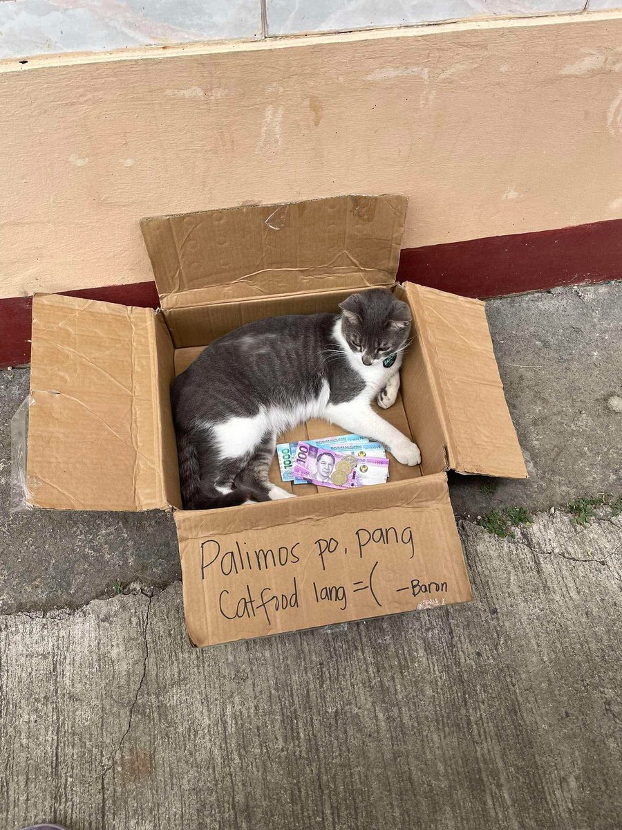 mgapusasadaan's tweet image. Paldo si Baron