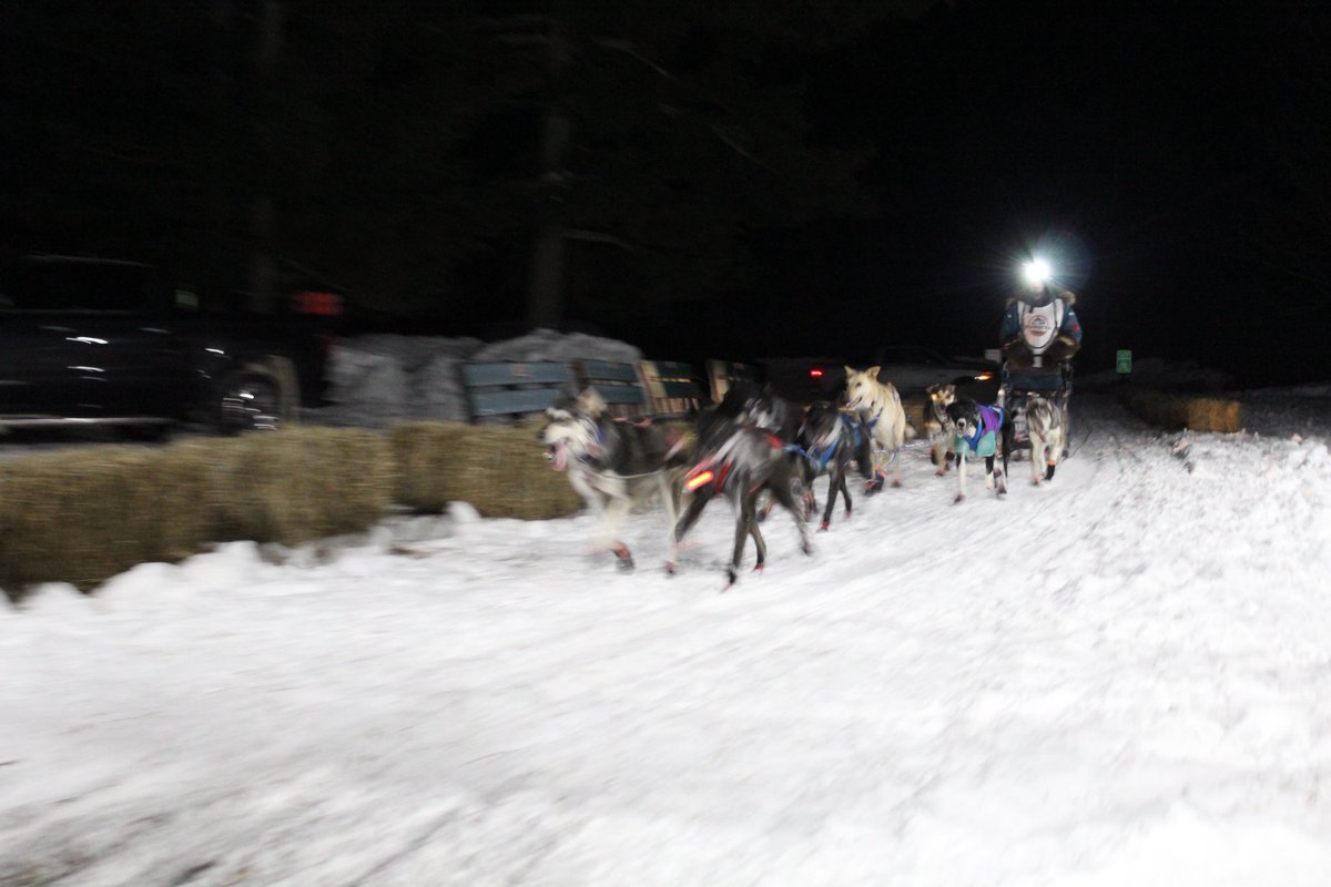 ℍ𝕒𝕟𝕟𝕒𝕙 ℂ tweet media