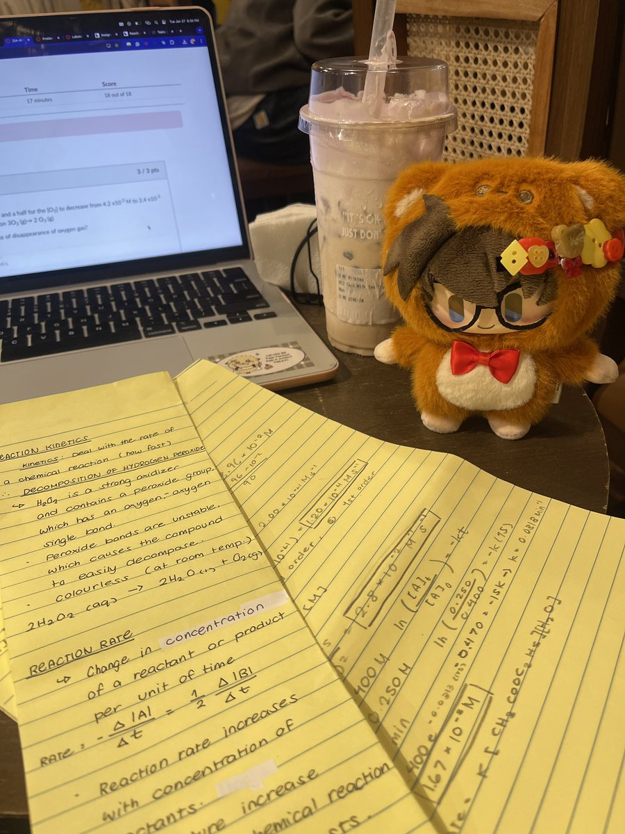 merlot ꔛ tweet media