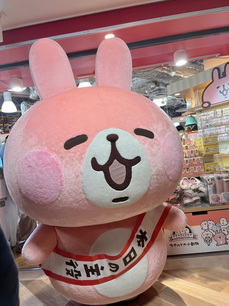 カナヘイの小動物 (@kanahei_animals) / Posts / X