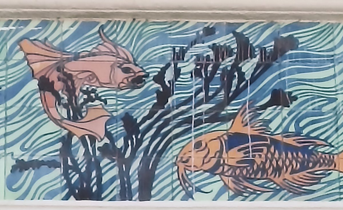 Buenos días
#letrasalacarta
Eran dos. Fluía con el agua salada. Vivían en paz.
Un día una red a uno de ellos atrapó.
Solo uno quedó.
Ya no fluía en paz.
Miedo y tristeza lo en volvieron, y ya nunca más nado en libertad.

#microcuento
#relatosbreves