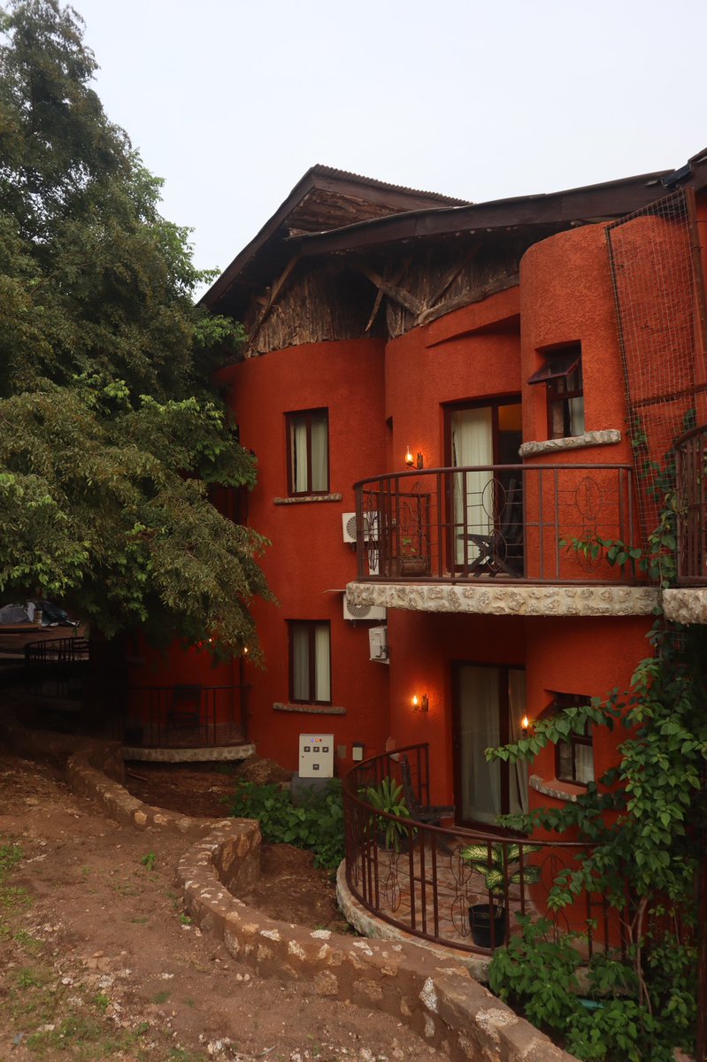 Africa First tweet media