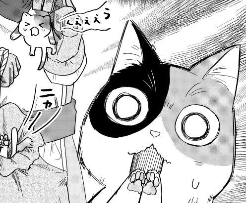 https://t.co/qySQMMF9aI
6話前編が公開されました!
今回は子猫たちと手に汗握る大冒険…!
子猫たちは無事に帰ることができるのかー! 