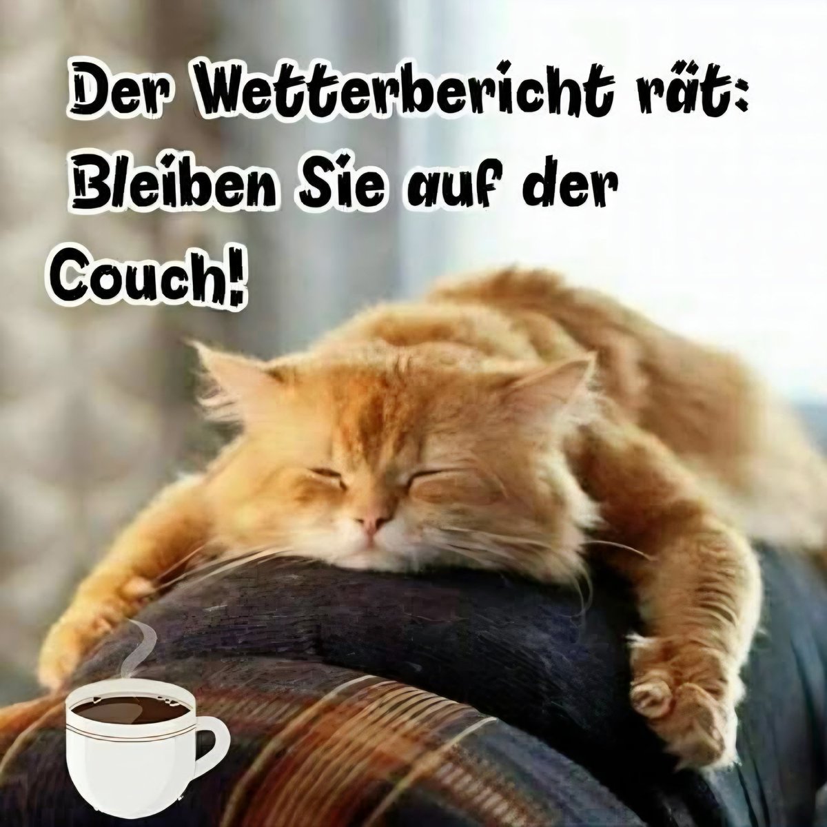 Guten Morgen 👋 

Wünsch euch einen erholsamen und entspannten Sonntag. Kommt gut durch den Tag. ☕️🌞