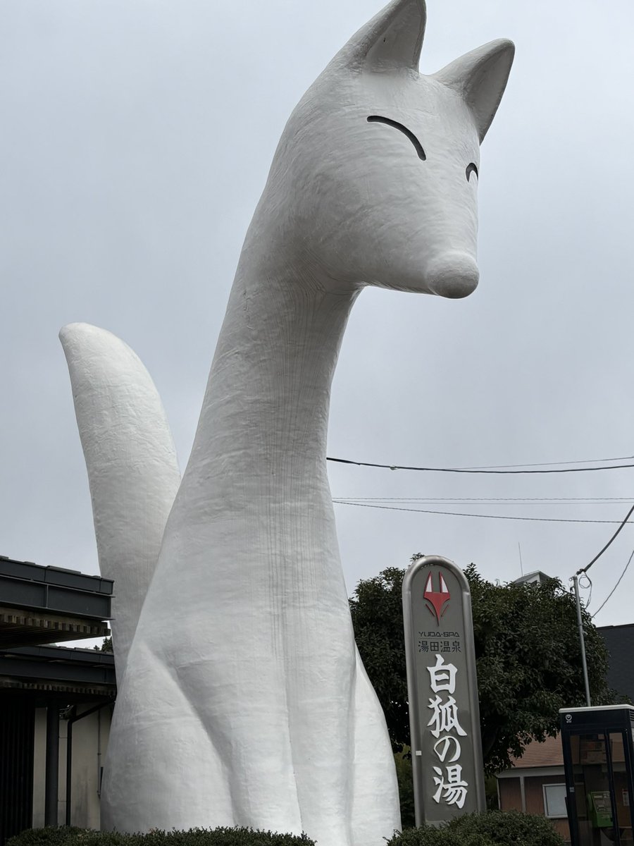 ワコウ tweet media