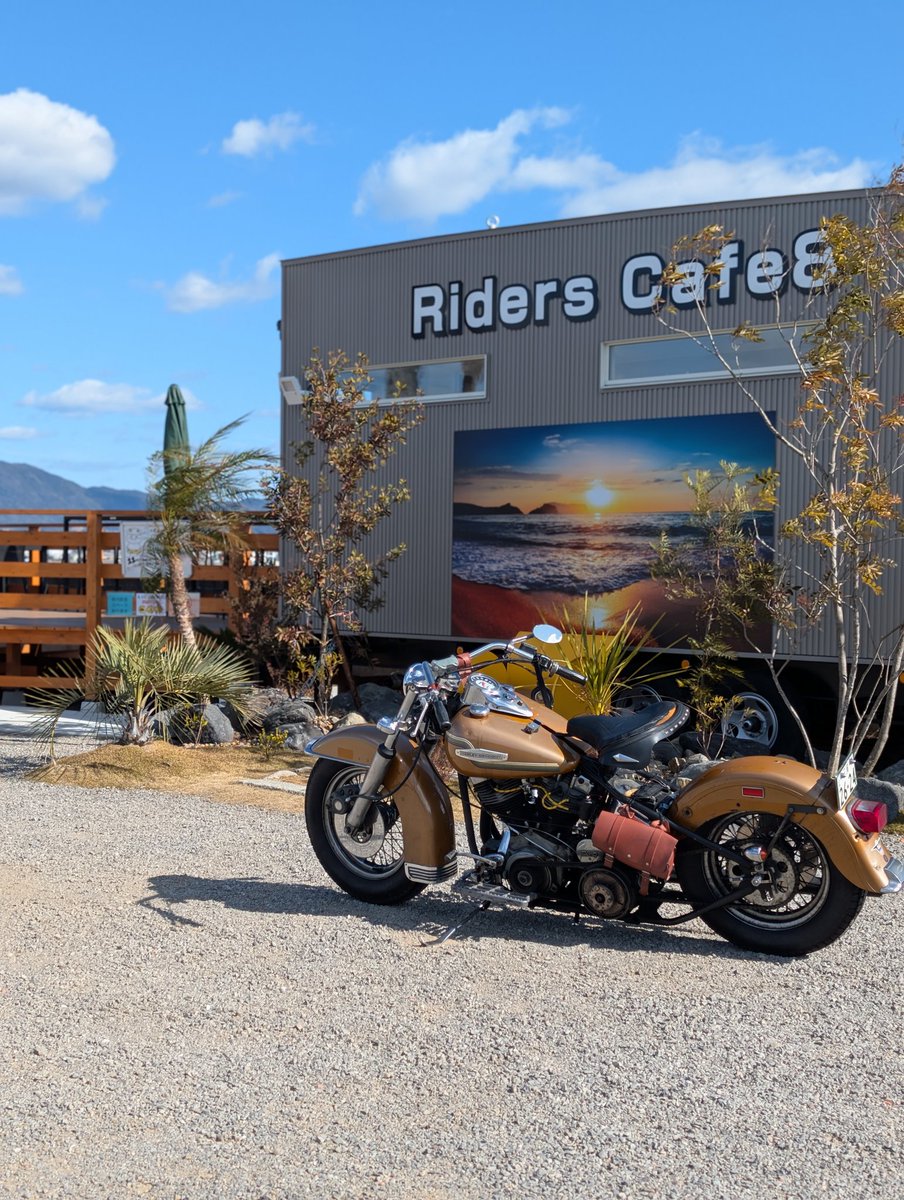 藤原拓海 tweet media