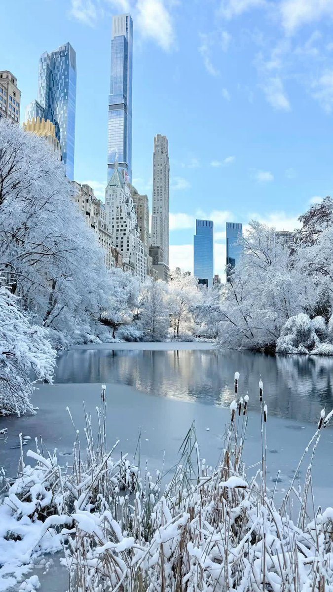 Central Park, New York