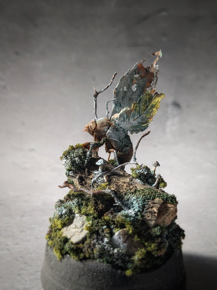 流木お兄さん (@ryuboku023) / Posts / X