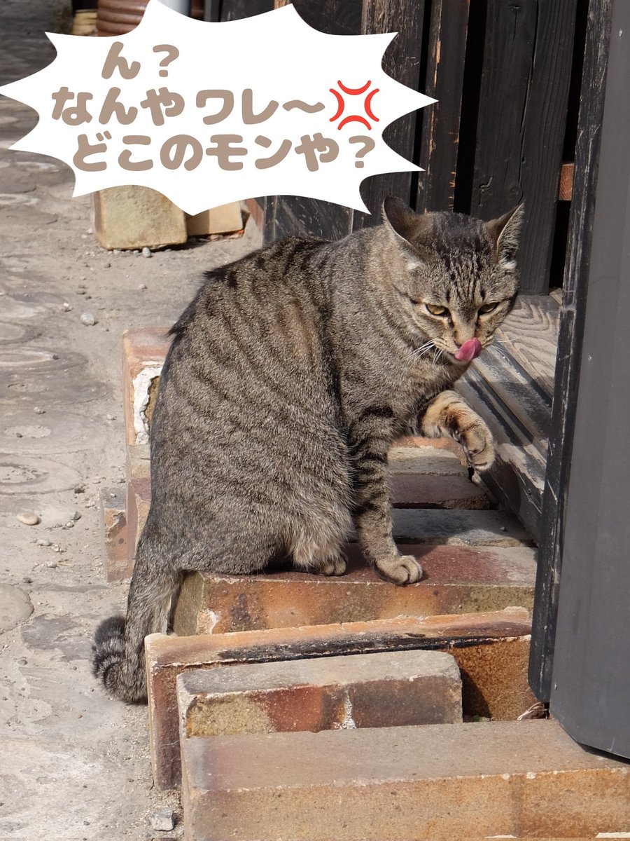 かずまる024 (@kaz_maruru024) / Posts / X