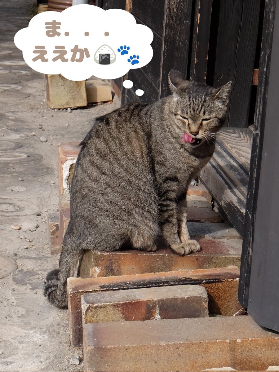 かずまる024 (@kaz_maruru024) / Posts / X