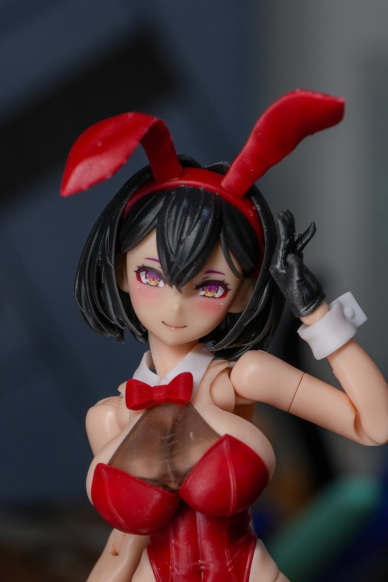 鯉太郎 (@koichan315) / Posts / X