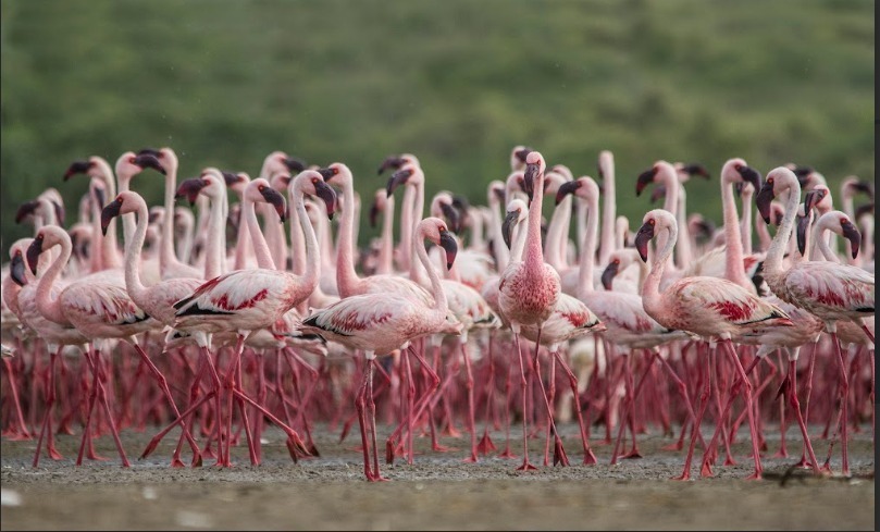 Indiatourism Chennai tweet media