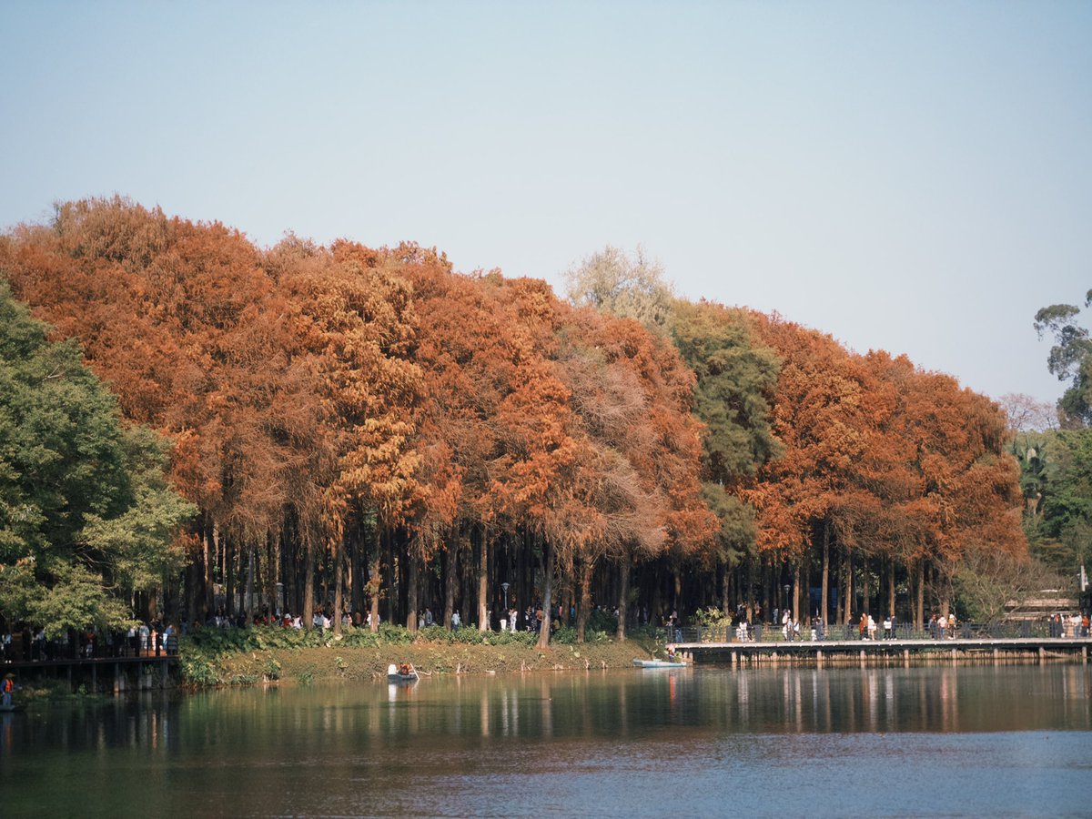 Pak_GZ's tweet image. 算是迟来的秋吗