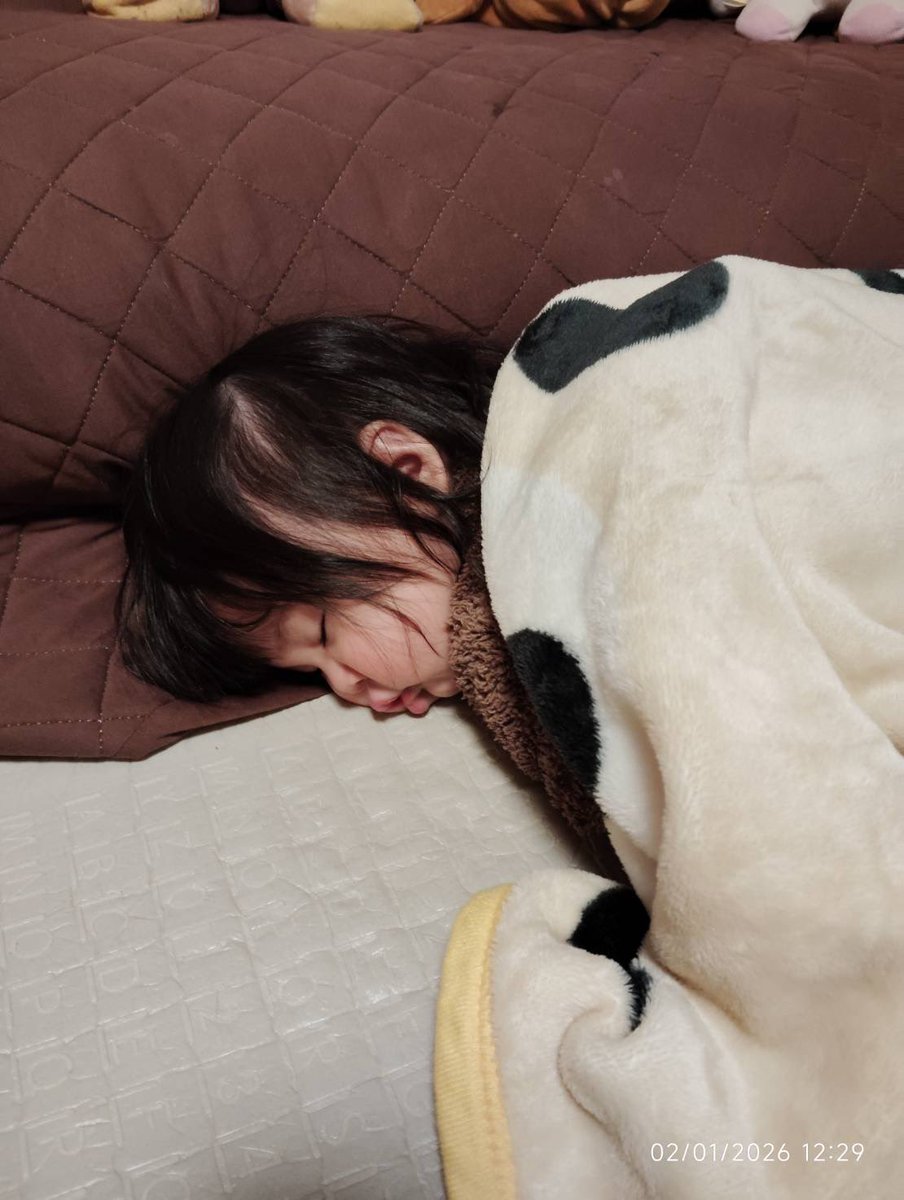 sing_draw_chie's tweet image. おまる成功の報酬はヤクルト！ぷはーっとやったった感がにじみ出ている、マオお兄にゃん。あと８日で3歳！そして、いつのまにか行き倒れるお姫さま😶🩷
#日曜日 #赤ちゃんのいる生活 #成長記録 #2歳 #10ヶ月