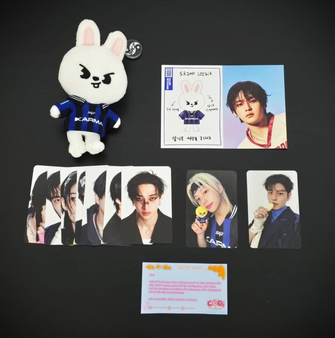 Feedback positivo para <a href="/foxycollector/">신을품는방법🥔🐍</a> <a href="/_2leemy/">martie | bh seríssimo</a> <a href="/hnjilover/">Aninha</a> pela ceg do Nemo Skzoo que trouxe pra minha  casa esse Leebit mais que fofo!