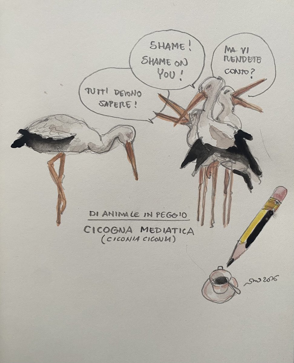 #LaTazzinaDelMattino #LaTacitaDeLaMañana #Caffè #Café #Cappuccino Matita Lapiz Coffee OneCupADay Pencil JedenTagEineTasseKaffee Bleistift Kaffee TousLesJoursUnCafé Café Crayon LaTavolaDellaDomenica Dimanche Sonntag Sunday Domingo Calembour