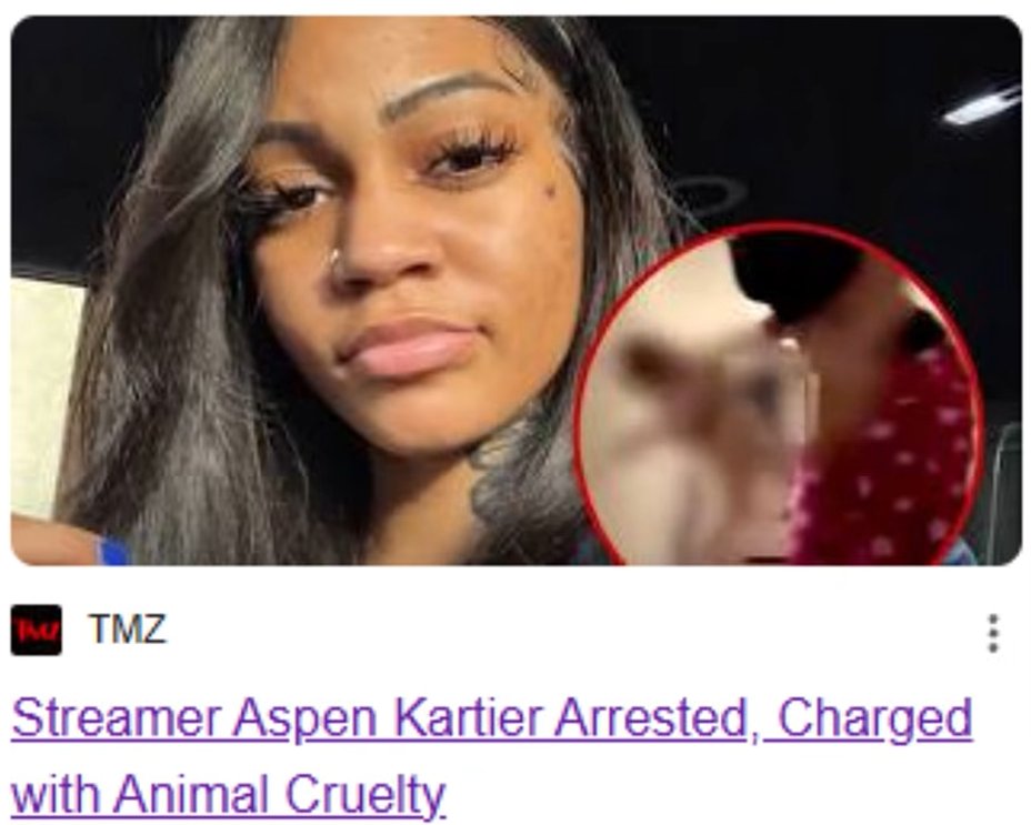 🦊shanti🦊 tweet media