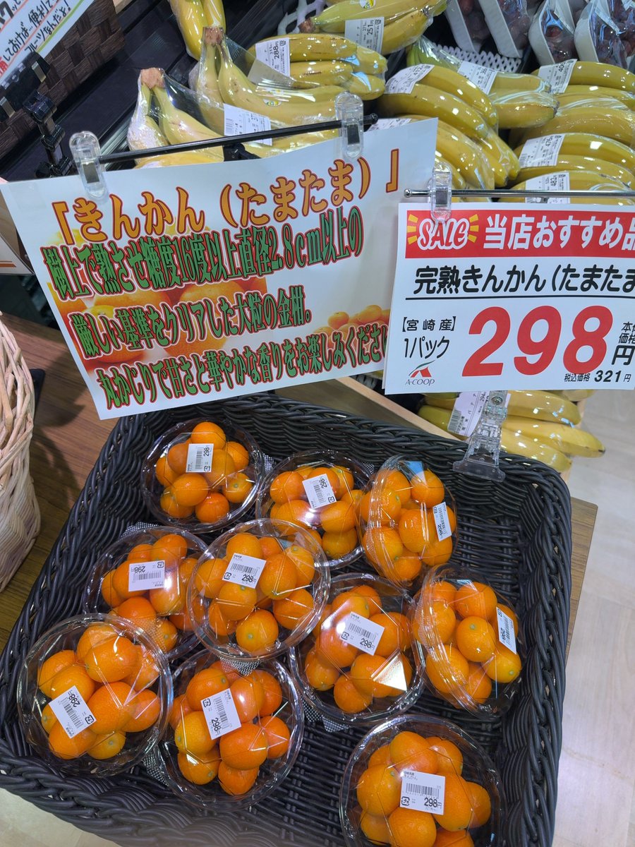 Post by あさやん👾 ♌ 🍒 ✨ 💄 💚 on X: 健全なたまたま