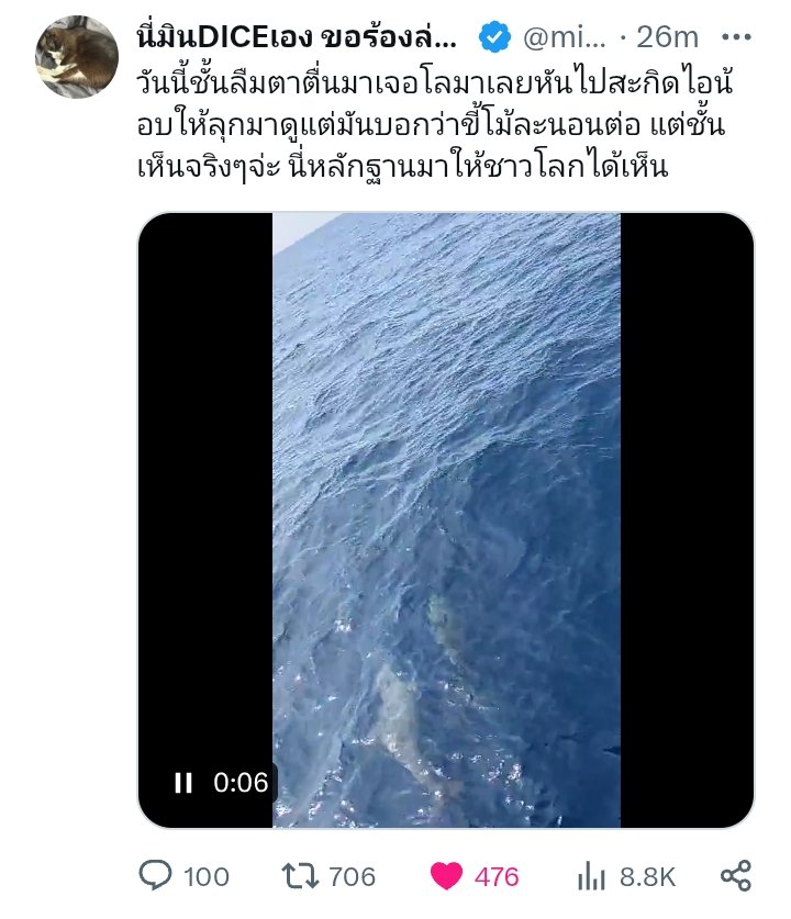 📁 tweet media