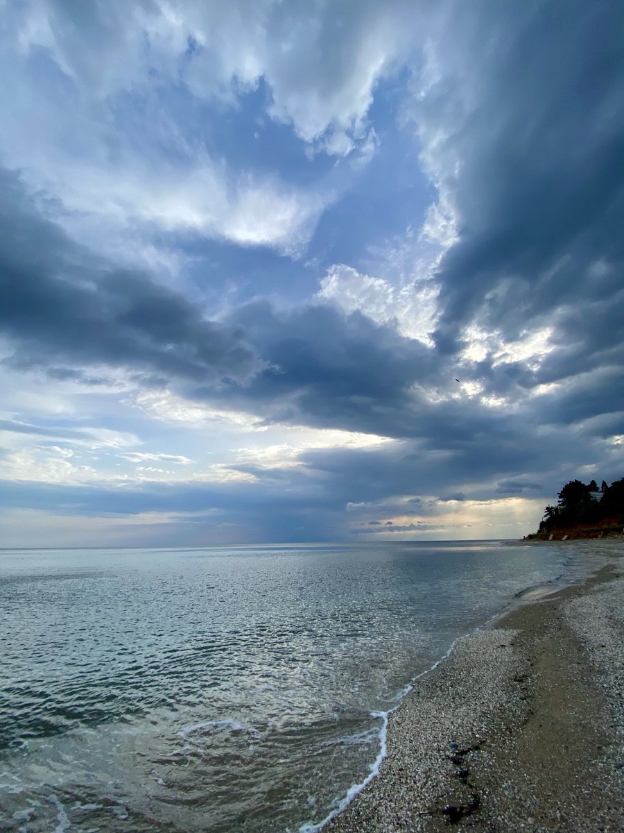 Señorita Sea tweet media