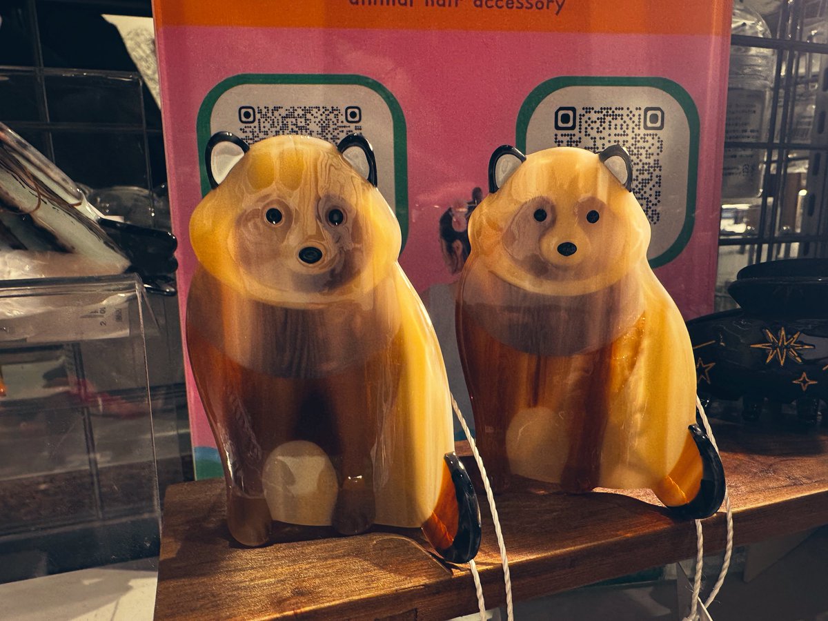 BALLKOSSさんのタヌキ！入荷しました！ ポンポコ！